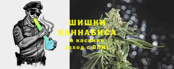 хмурый Белокуриха
