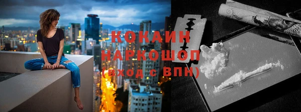 хмурый Белокуриха