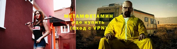 прущие грибы Беломорск