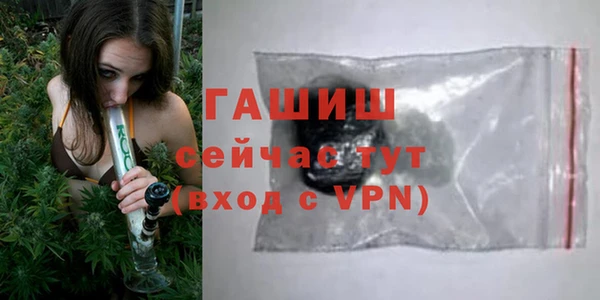 хмурый Белокуриха