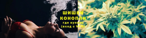 хмурый Белокуриха