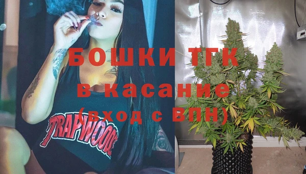 молекула духа Железногорск-Илимский