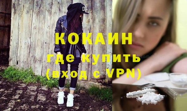 прущие грибы Беломорск