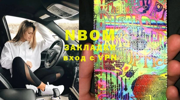 прущие грибы Беломорск
