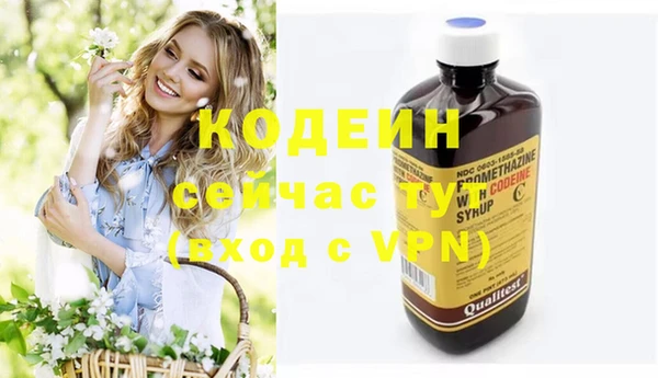хмурый Белокуриха