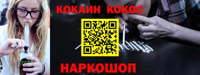 шишки Новодвинск