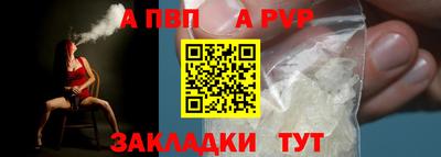 шишки Новодвинск