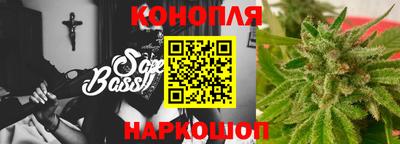 шишки Новодвинск