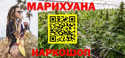 шишки Новодвинск