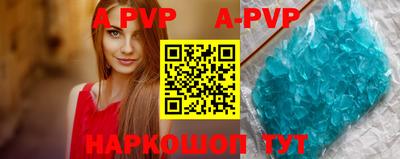 шишки Новодвинск