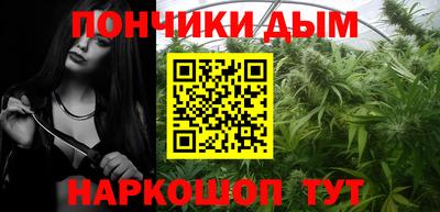 шишки Новодвинск