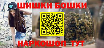шишки Новодвинск