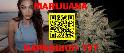 шишки Новодвинск