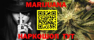 шишки Новодвинск