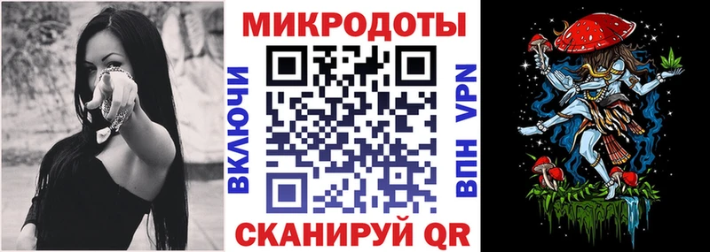 Галлюциногенные грибы Psilocybe  Саяногорск 