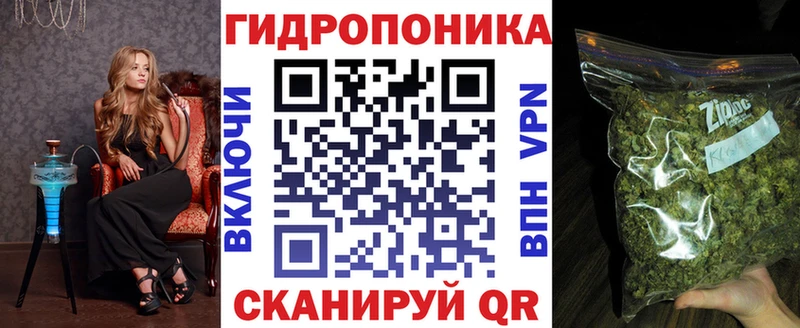 ссылка на мегу ONION  Саяногорск  Канабис OG Kush  сколько стоит 